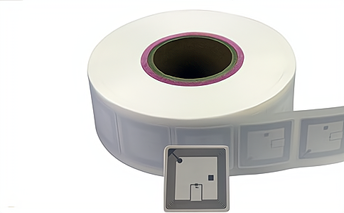 ���l�����z�D���˺�